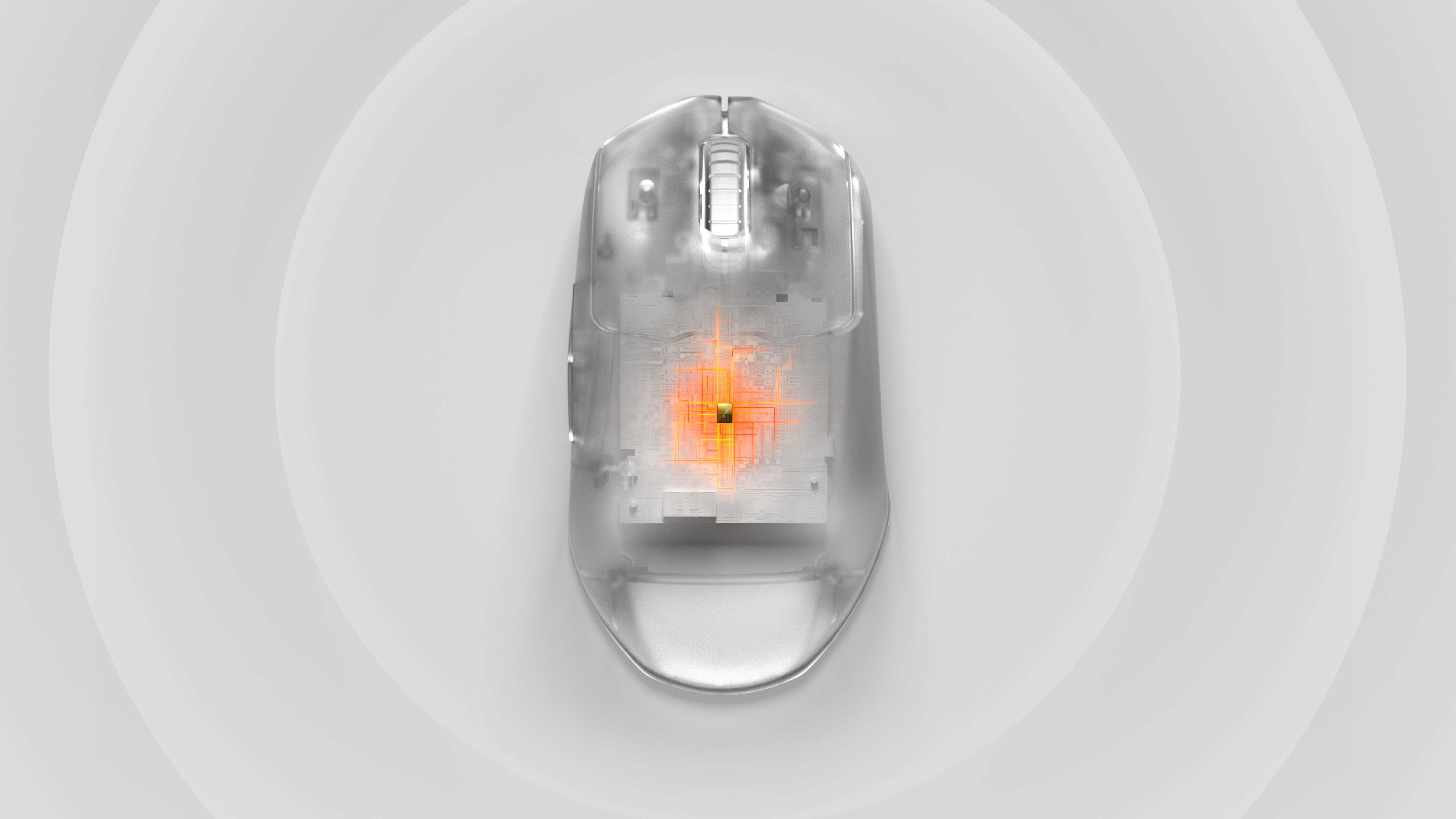 prime_wl_quantum_wide.jpg